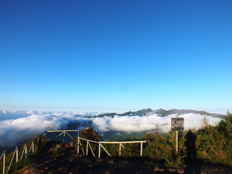 Pico Ruivo do Paul da Serra Viewpoint in Madeira Island